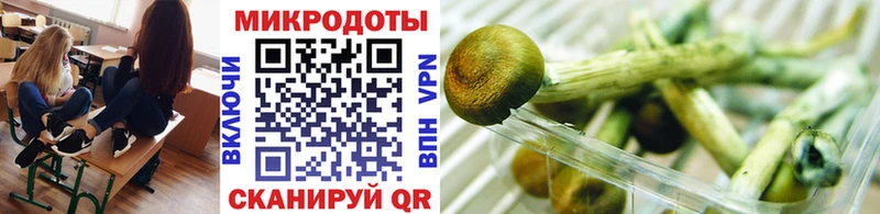 Псилоцибиновые грибы Psilocybine cubensis  наркота  Углич 